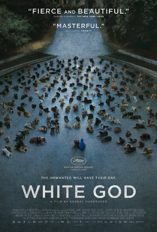 WHITE GOD