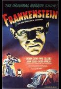 Frankenstein: Zia Nights