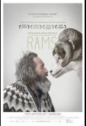 Rams