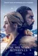 The Mountain Between Us