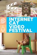 Internet Cat Video Festival