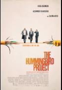 The Hummingbird Project