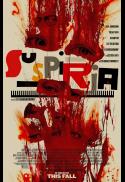 Suspiria