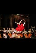 Bolshoi Ballet  DON QUIXOTE Live